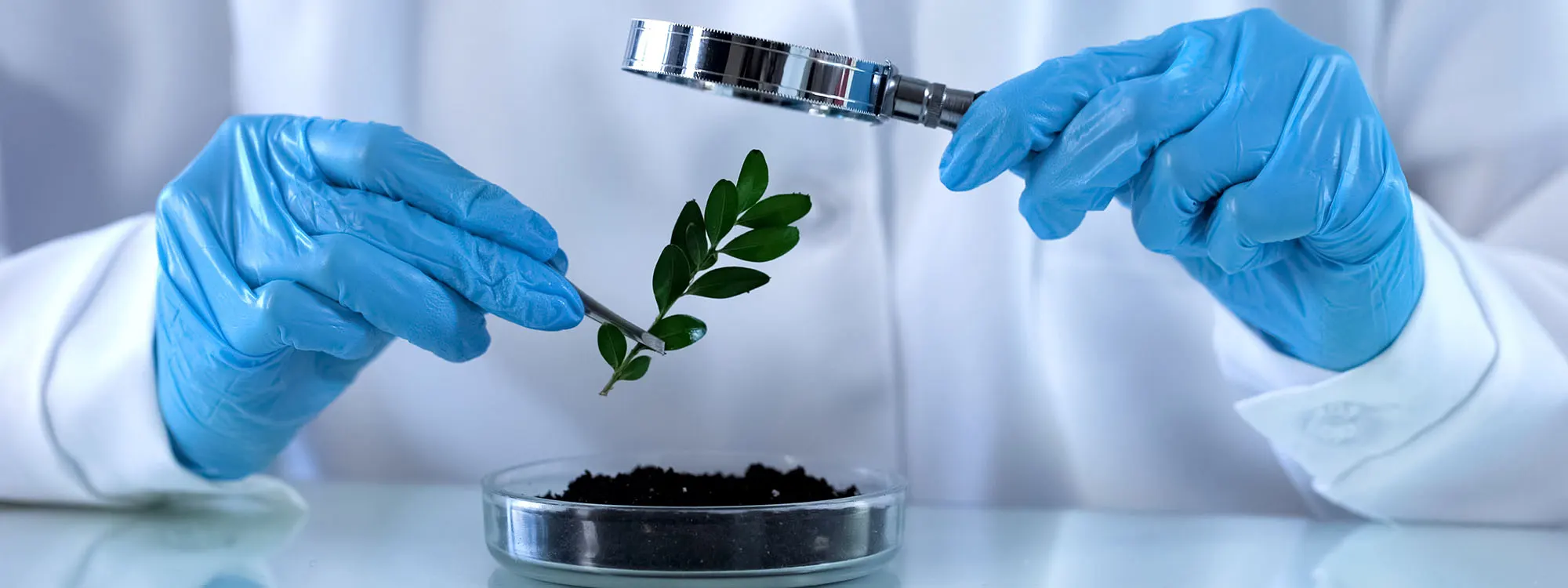 Providing services with patents for regulated substances