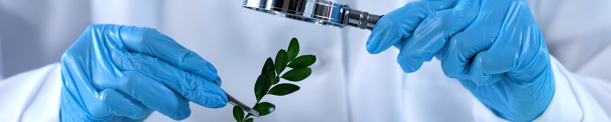 Other "Regulatory" IP